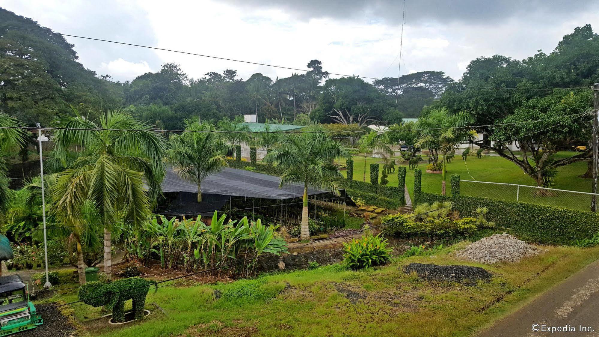 Jilian Tourist Inn Puerto Princesa Eksteriør bilde